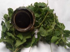 KASTURI SUGANDHAM A Traditional Aromatic Secret from the Land of Sanatana Dharma to Realise Cosmic Energy & Cleanse Chakras-(NRTKS013)