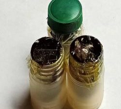 DIVINE HERBAL ARAKAJA KASTURI PASTE Ancient Vedic Aromatic Secret for Realizing Divine Power & Cosmic Energy in Sanatana Dharma ( NRTDAKP017)