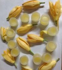 CHAMPACA SOLID CREAM Made with Natural Floral Extracts for Pooja, Yoga & Meditation — A Fragrance for Vedic Consciousness-(NOPCSS - 021)