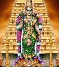 KADAMBAVASINI THAZHAMPOO KUNGUMAM-(NRTKVTZKUM-063)