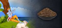 DIVINE POOJA SAMAGIRI & HAWAN POWDER (NRTPJHWSP-066)