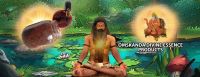 12 Natural Aromatic Oils (Essential Oils) & Meditation – Divine Aroma Oils Made for Siddha Samadhi Way of Life to Realize “Who Am I”-(NRTNOM-074)