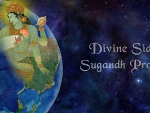 Scent of Guru Agathiar Divine Aura Oil – A Natural Aromatic Elixir for the Yogi’s Life to Realise “Who Am I” through the Samadhi Way of Life-(NRTSOGADAOIL-081)