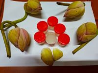Scent of Pink Lotus – Divine Natural Aroma Paste for Pooja, Yoga, Meditation & Rituals-(NRTPINKLOTUS-107)