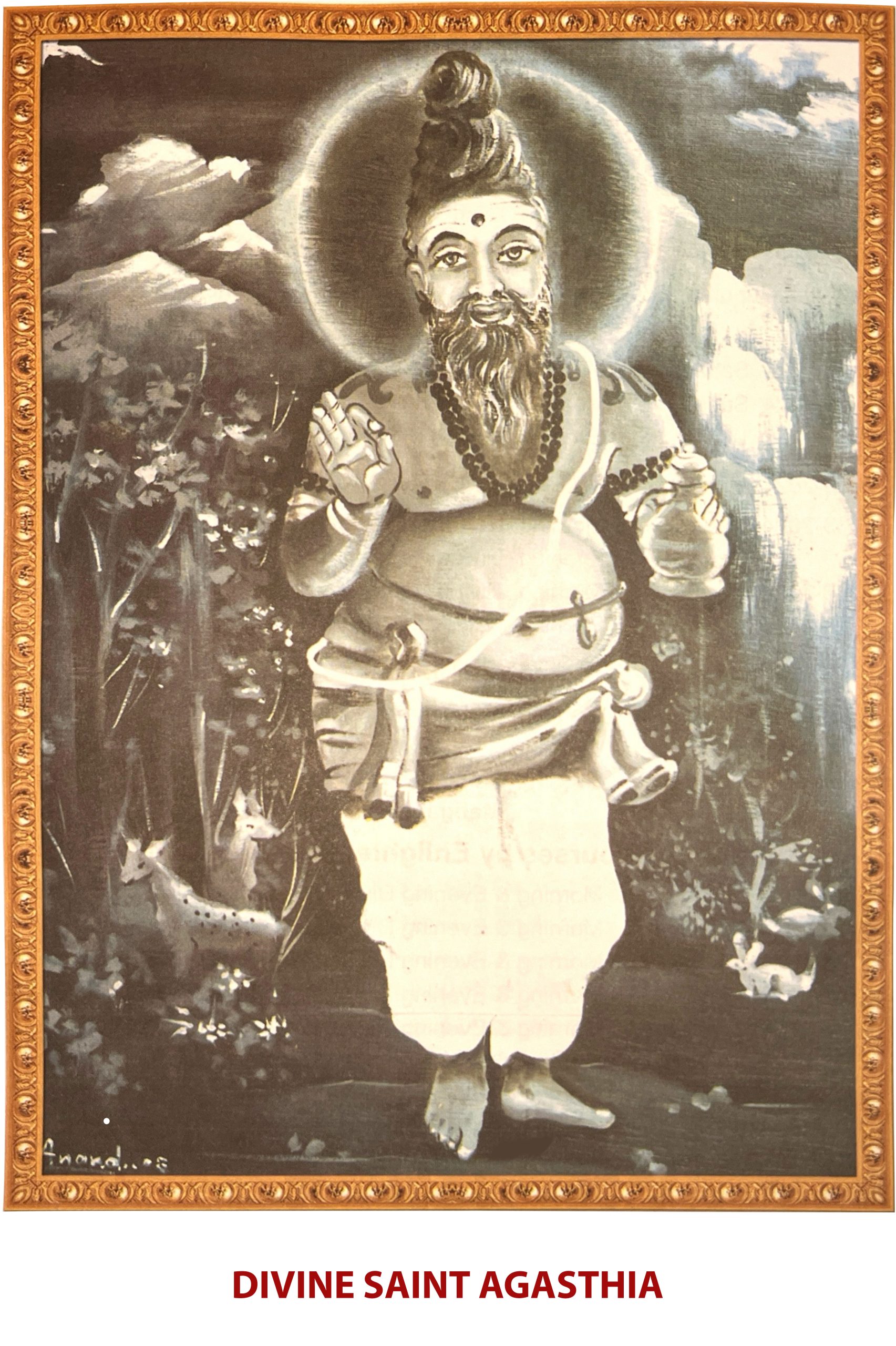 About Naveen Resources